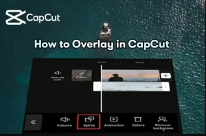 How To Add Capcut Overlays: Step-By-Step Guide 2024