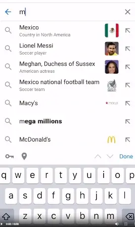 Google Search CapCut Template